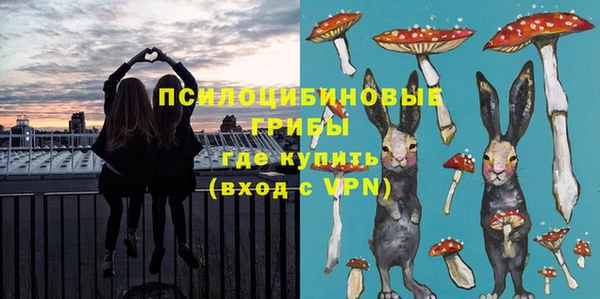 амф Абинск