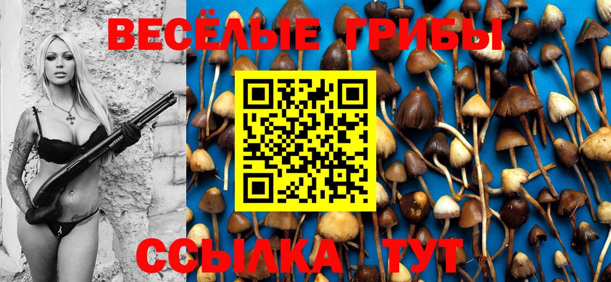 Алексеевка  Галлюциногенные грибы мухоморы  Вход с VPN 